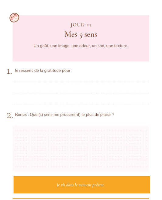 Carnet de Ploppy #1 - 21 jours pour écrire ses gratitudes